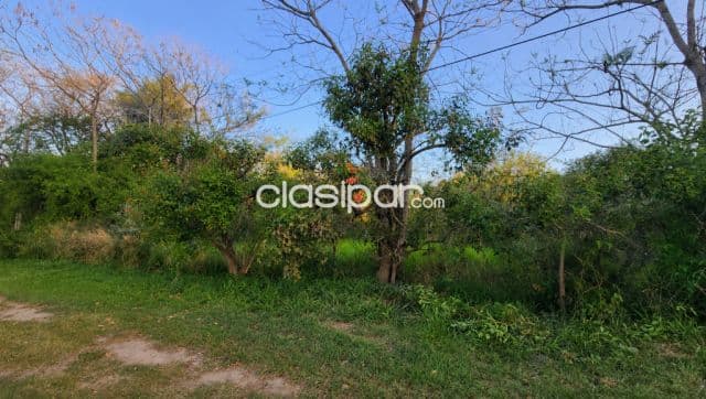 Terrenos en Surubi’i – Zona Los Pingos ✨ Ubicación privilegiada